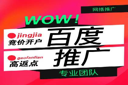 某行业巨头背后的SEM代运营托管公司